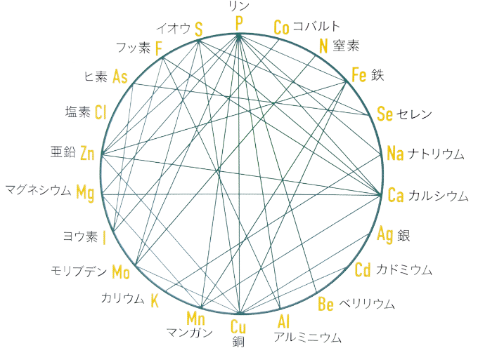 ミネラル相互作用